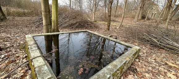 Edificio de 43 habitaciónes en Chemnitz, Germany No. 71346 31