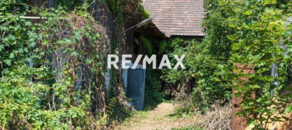 4 rooms House in Ebergassing, Austria No. 157742 4