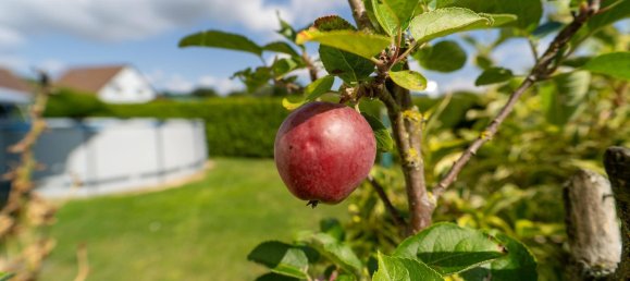 4 bedrooms Townhouse in Demmin, Germany No. 143219 21