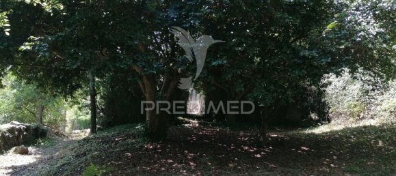 Casa T7 em Marco de Canaveses, Portugal N.º 39570 18