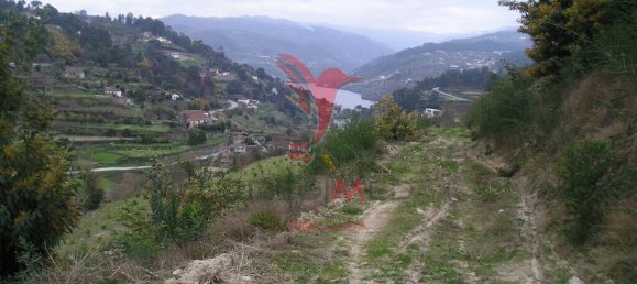 Casa T7 em Marco de Canaveses, Portugal N.º 39570 11