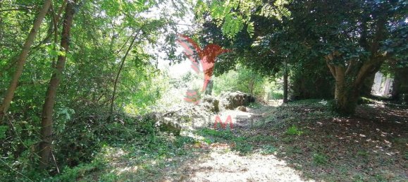 Casa T7 em Marco de Canaveses, Portugal N.º 39570 20