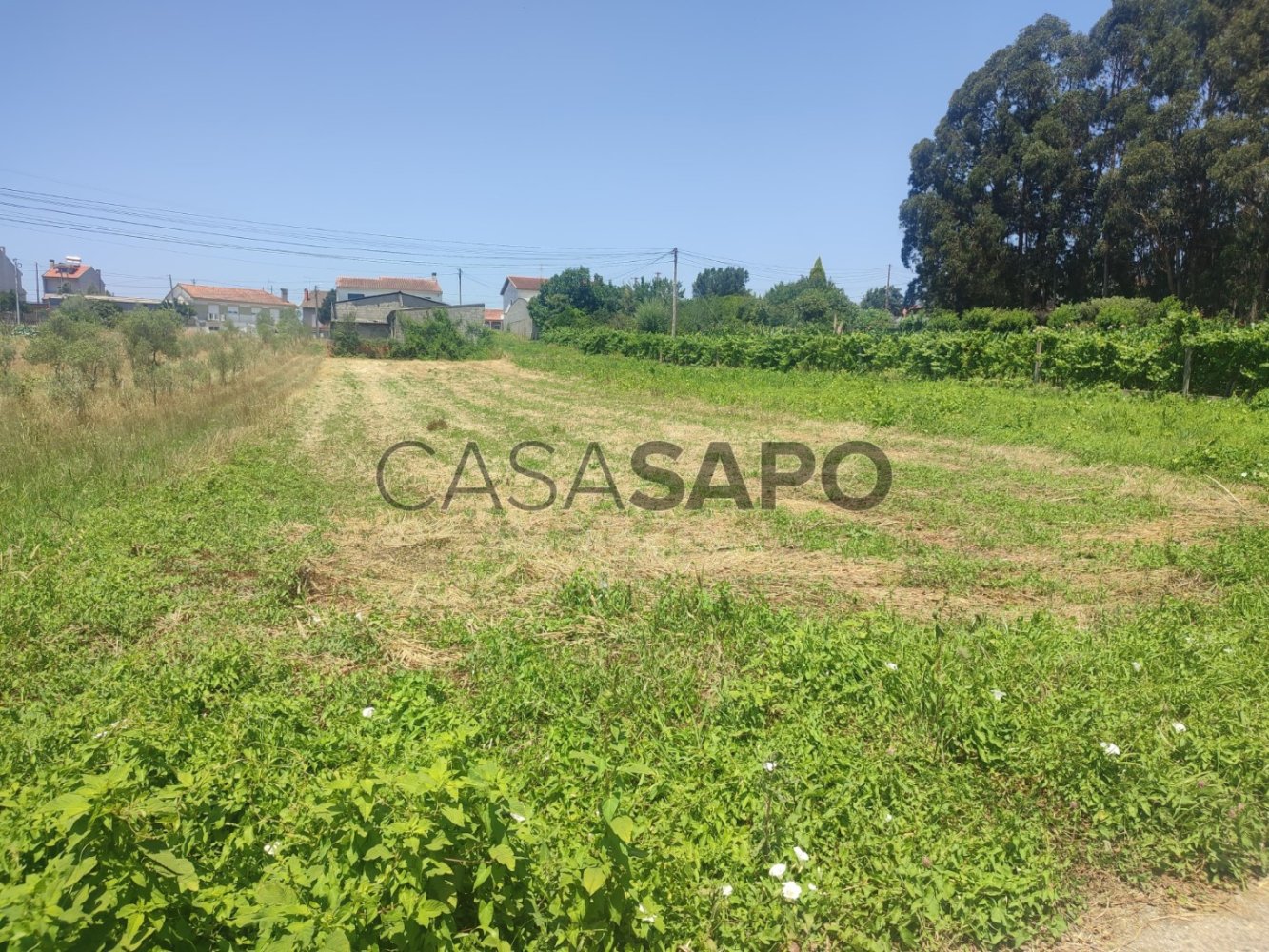 Grundstück in Fermentelos, Portugal, Nr. 203240