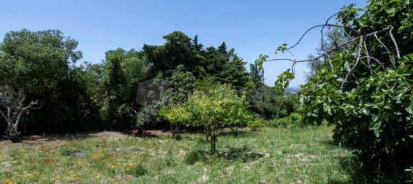 Casa de 7 dormitorios en Setubal, Portugal No. 132074 38