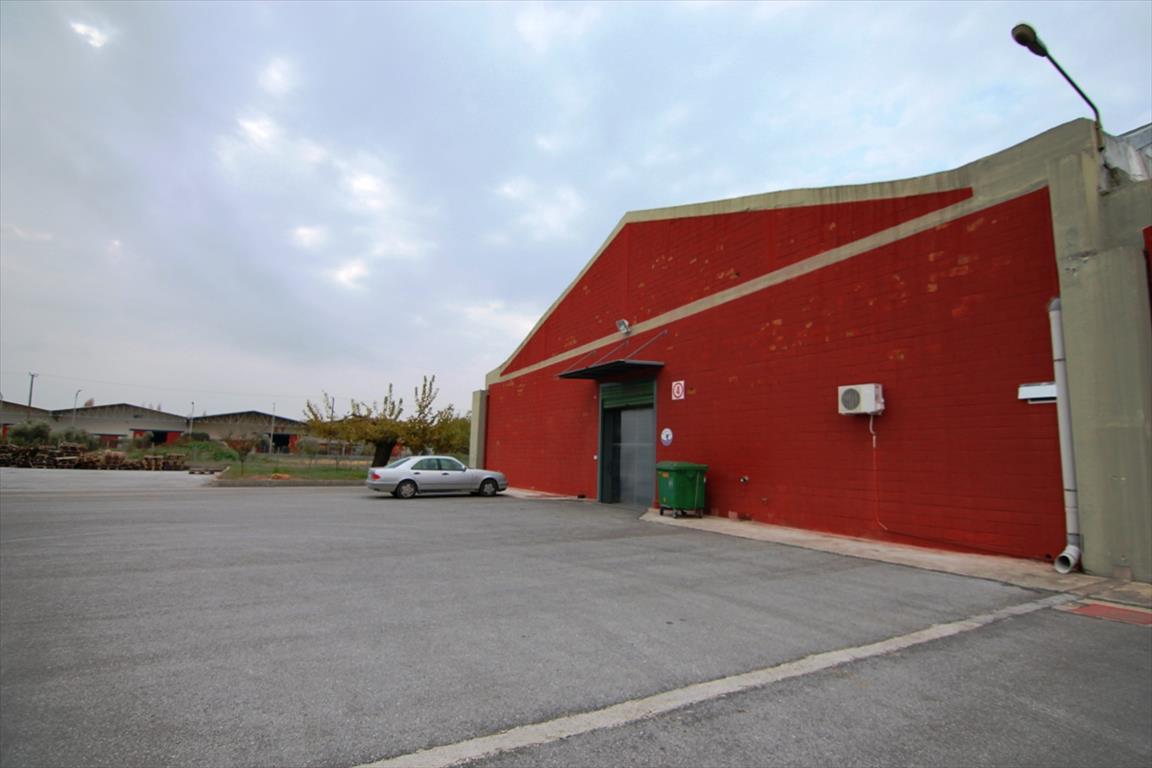 Property à Thessaloniki, Greece 17000m² No. 6834
