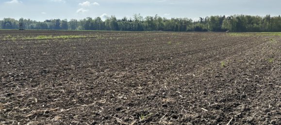 Terreno en Mitterkirchen im Machland, Austria No. 37199 7