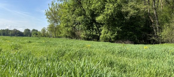 Terreno en Mitterkirchen im Machland, Austria No. 37199 6