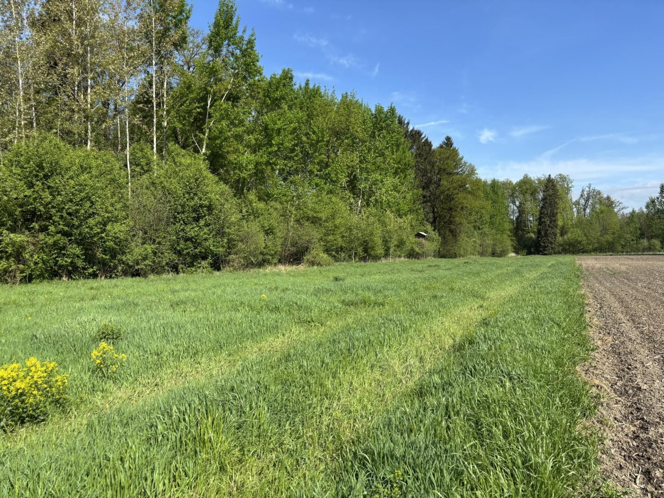 Terreno en Mitterkirchen im Machland, Austria No. 37199