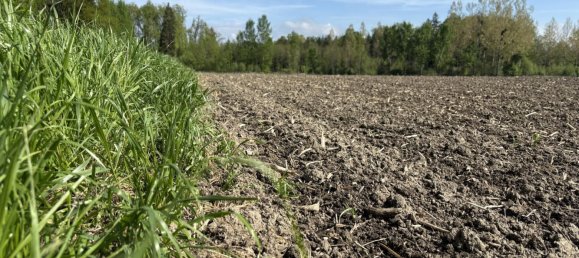 Terreno en Mitterkirchen im Machland, Austria No. 37199 2