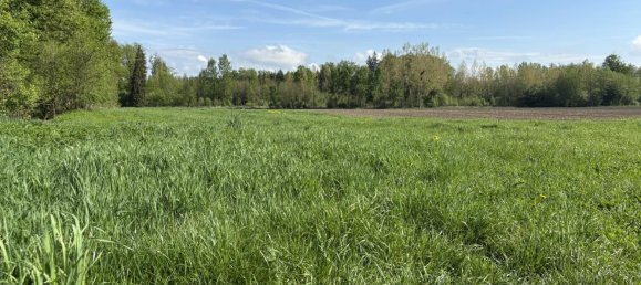 Terreno en Mitterkirchen im Machland, Austria No. 37199 3