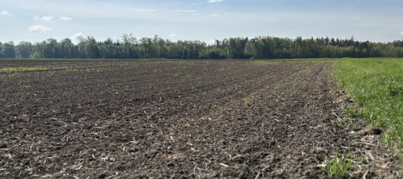 Terreno en Mitterkirchen im Machland, Austria No. 37199 8