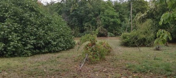 7 rooms Villa in Salsomaggiore Terme, Italy No. 38079 19