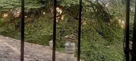 7 rooms Villa in Salsomaggiore Terme, Italy No. 38079 4