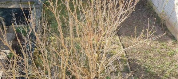 4 bedrooms Townhouse in Rems-Murr-Kreis, Germany No. 116832 9