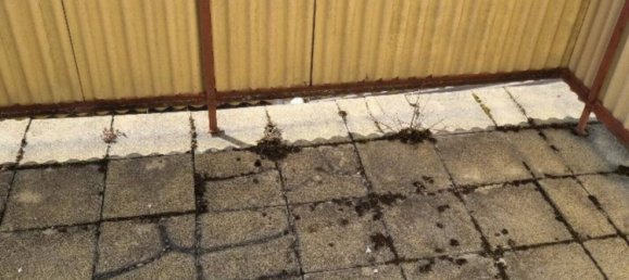 4 bedrooms Townhouse in Rems-Murr-Kreis, Germany No. 116832 7