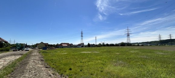  Land in Asten, Austria No. 130725 4