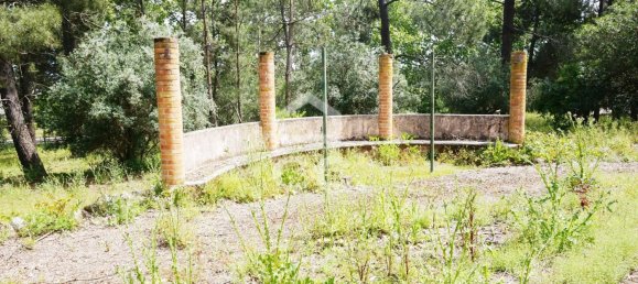 20 bedrooms Villa in Tramagal, Portugal No. 29956 26