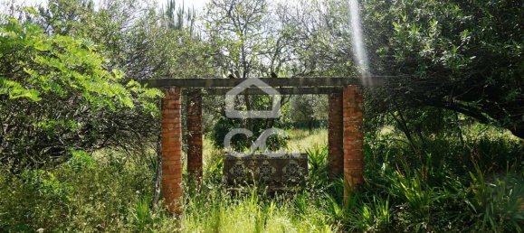 20 bedrooms Villa in Tramagal, Portugal No. 29956 24