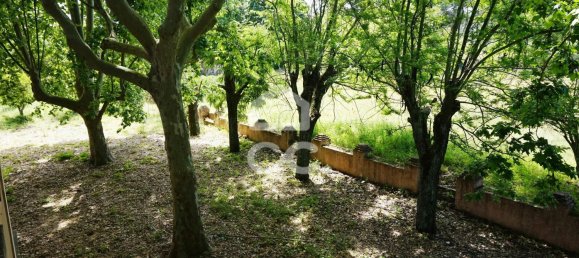 20 bedrooms Villa in Tramagal, Portugal No. 29956 27