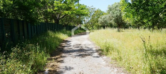 20 bedrooms Villa in Tramagal, Portugal No. 29956 31