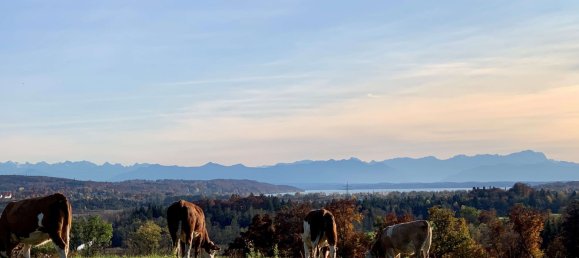 5 Schlafzimmer Villa in Starnberg, Germany, Nr. 368800 12