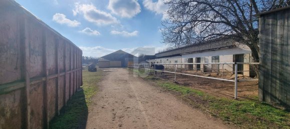 42160m² Land in Markgrafneusiedl, Austria No. 192720 2