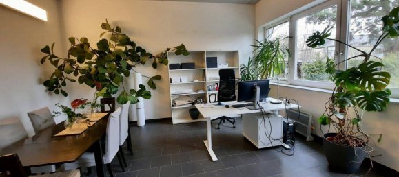 Gewerbliche Immobilie in Wien, Austria 695m², Nr. 151867 18