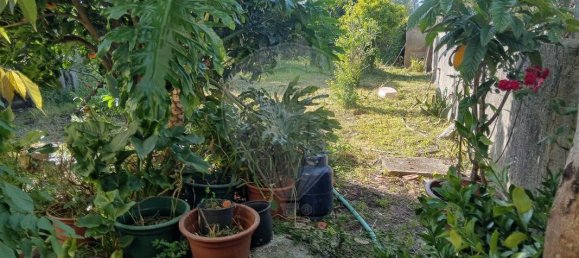 3 bedrooms House in Leiria, Portugal No. 205626 9