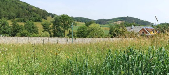  قطعة أرض في Gaaden, Austria رقم 38820 3