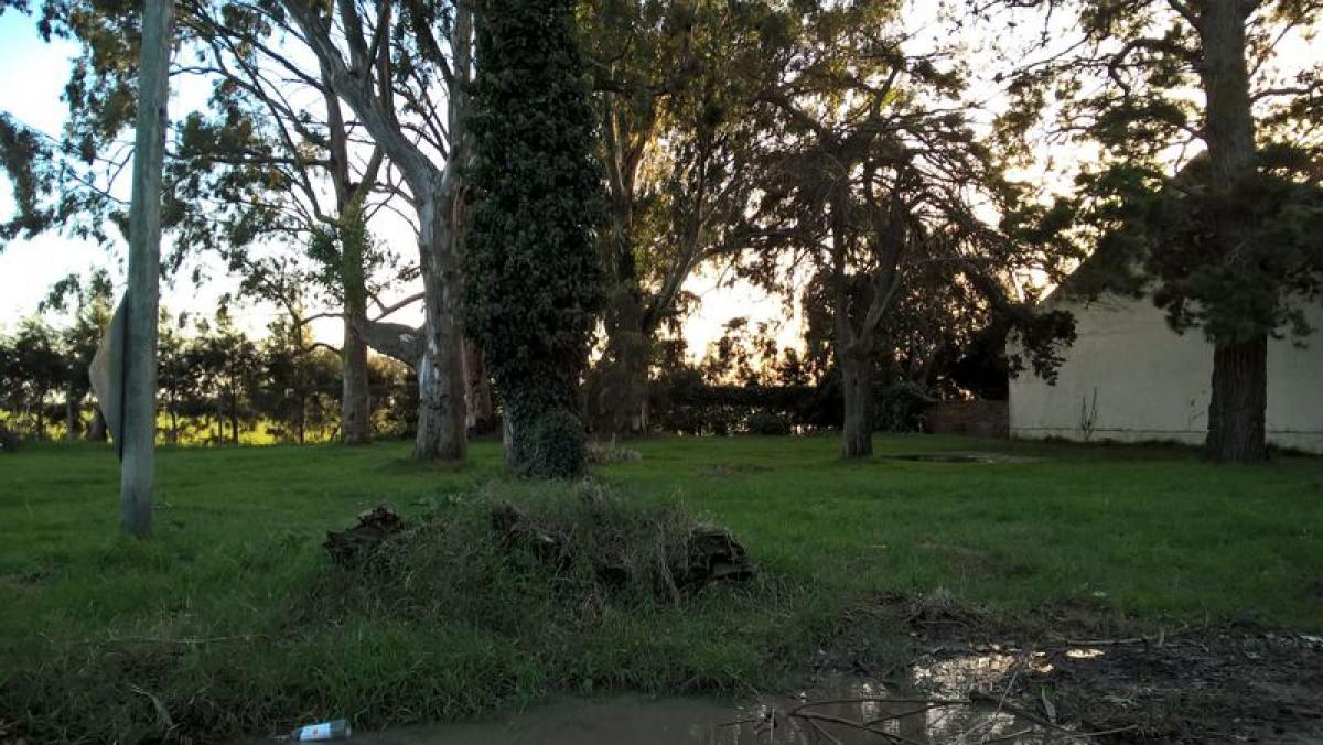 Terreno em Mar del Plata, Argentina N.º 113304