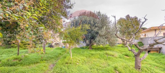 3 غرف نوم فيلا في Ardea, Italy رقم 352694 8