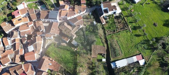 3 Schlafzimmer Haus in Miranda do Corvo, Portugal, Nr. 165956 21