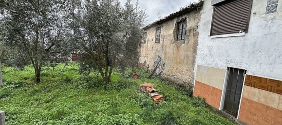 3 Schlafzimmer Haus in Miranda do Corvo, Portugal, Nr. 165956 6
