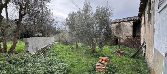 3 Schlafzimmer Haus in Miranda do Corvo, Portugal, Nr. 165956 13