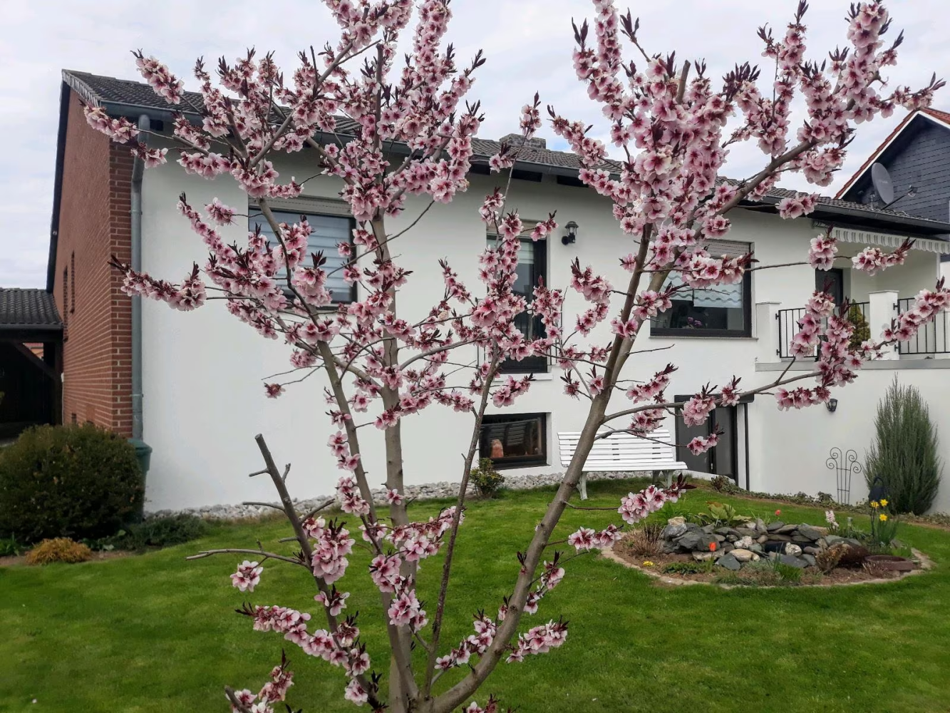 10-Zimmer Stadthaus in Northeim, Germany, Nr. 307426