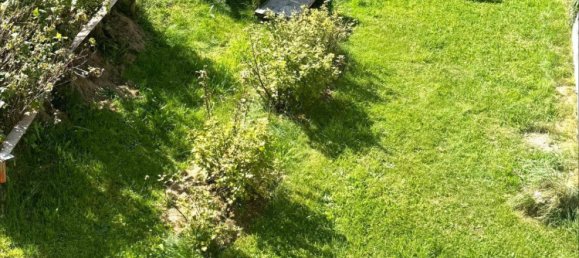 4 chambres Maison à Zwettl an der Rodl, Austria No. 251044 10