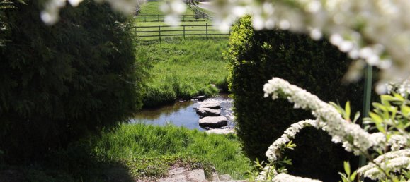 4 chambres Maison à Zwettl an der Rodl, Austria No. 251044 2