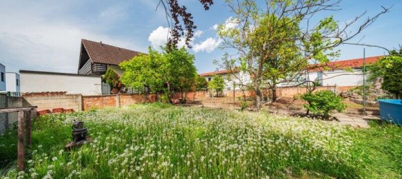 Grundstück in Kottingbrunn, Austria 2185m², Nr. 157583 8