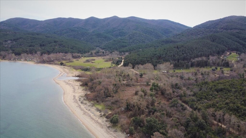 Hotel in Chalkidiki, Greece 4785000m², Nr. 54110