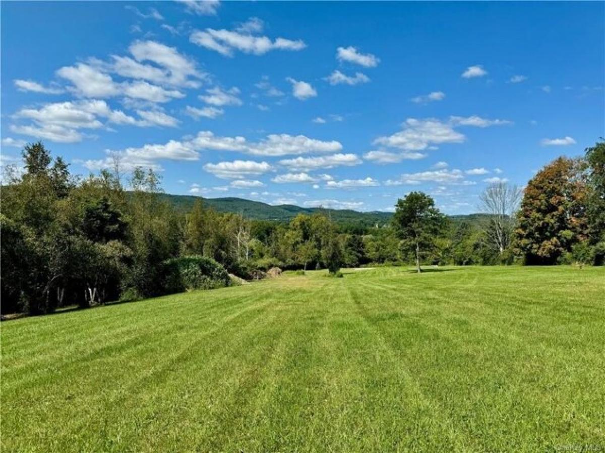  Land in Amenia, USA No. 477554
