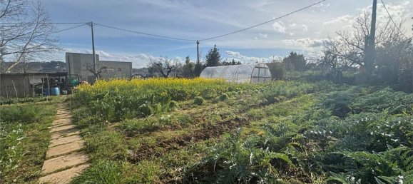 Terreno en Città Sant'Angelo, Italy 900 m² No. 77923 5