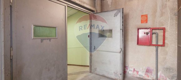 5-salle Propriété commerciale à Catania, Italy No. 79088 7