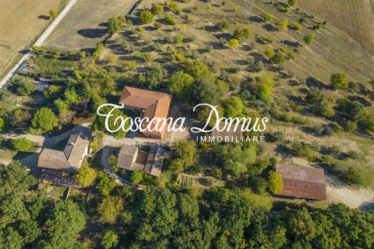 20 rooms House in Chiusdino, Italy No. 18016