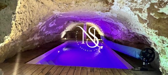 13 bedrooms Castles in Loir-et-Cher, France No. 264878 8