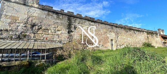 13 bedrooms Castles in Loir-et-Cher, France No. 264878 20