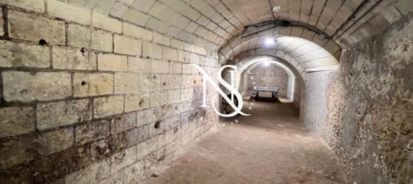 13 bedrooms Castles in Loir-et-Cher, France No. 264878 12