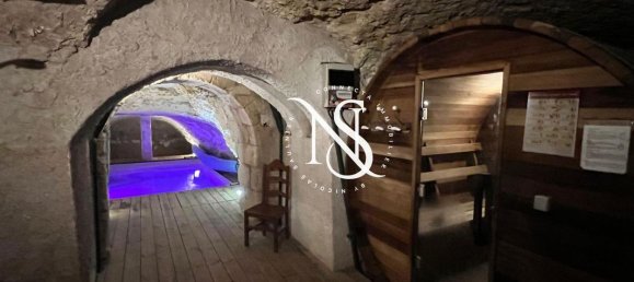 13 bedrooms Castles in Loir-et-Cher, France No. 264878 15