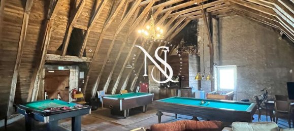 13 bedrooms Castles in Loir-et-Cher, France No. 264878 2