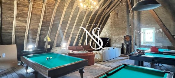 13 bedrooms Castles in Loir-et-Cher, France No. 264878 10