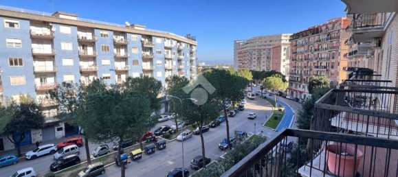 7-Zimmer Wohnung in Foggia, Italy, Nr. 31773 16